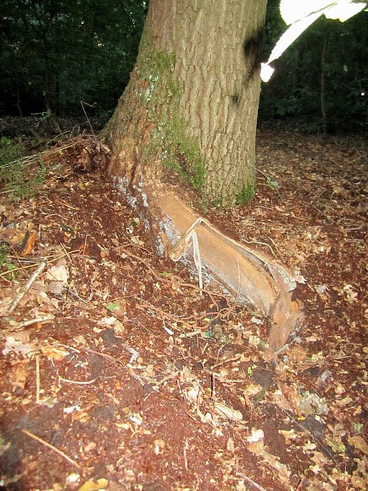 De kracht van de natuur - Foto: Eigen geleverde foto