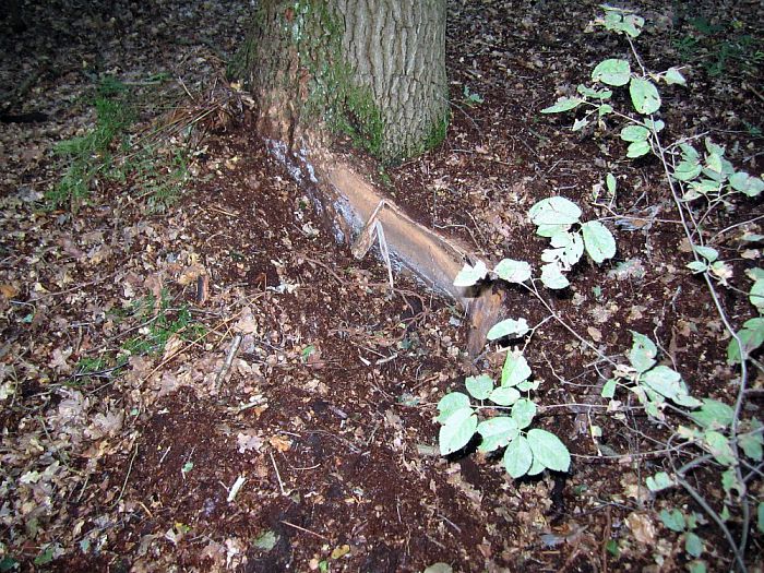 De kracht van de natuur - Foto: Eigen geleverde foto