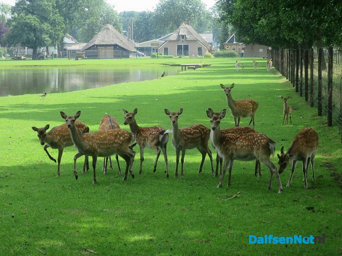 Dierenpark van Ten Kate in Nieuwleusen - Foto: Wim