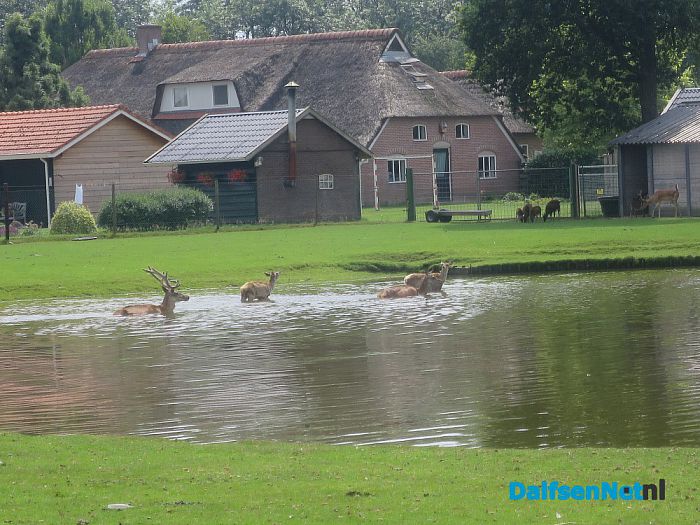 Dierenpark van Ten Kate in Nieuwleusen - Foto: Wim