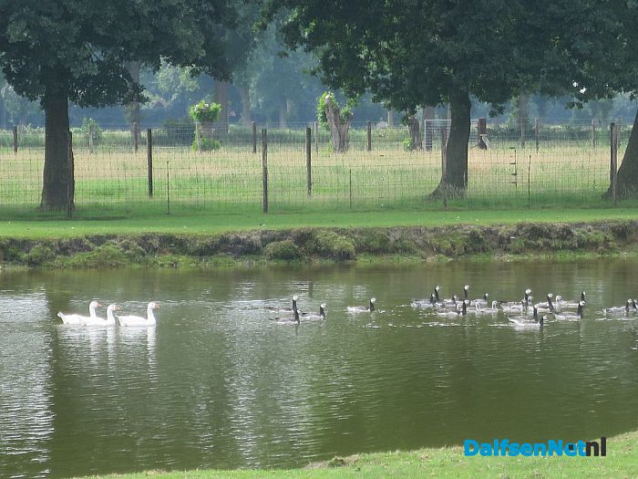 Dierenpark van Ten Kate in Nieuwleusen - Foto: Wim