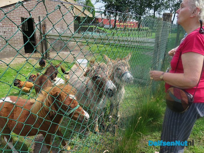 Dierenpark van Ten Kate in Nieuwleusen - Foto: Wim