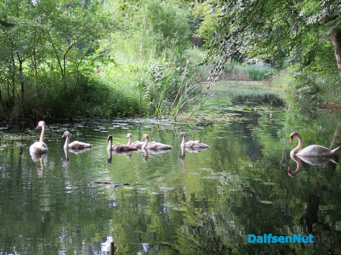 Zondag 23 juli wandeltocht op De Horte - Foto: Wim