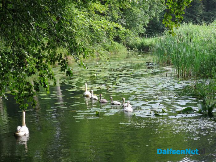 Zondag 23 juli wandeltocht op De Horte - Foto: Wim