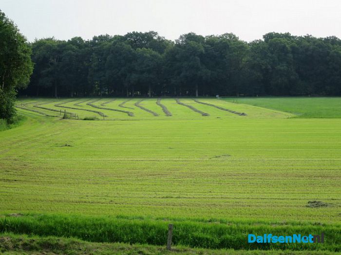 Zondag 23 juli wandeltocht op De Horte - Foto: Wim