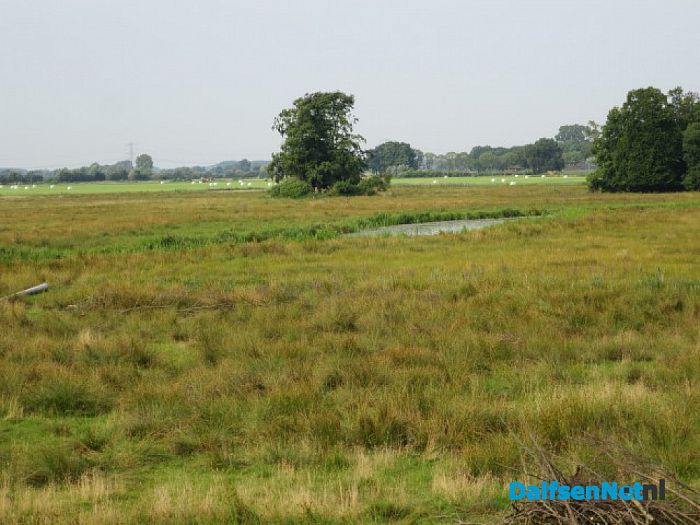 Zondag 23 juli wandeltocht op De Horte - Foto: Wim