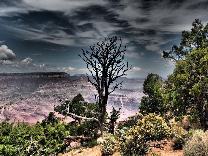 Vakantie foto’s vanuit de USA - Foto: Eigen geleverde foto