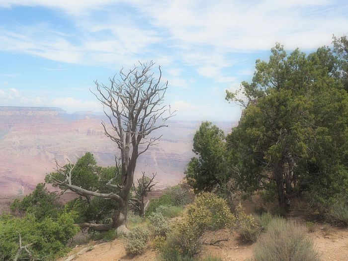 Vakantie foto’s vanuit de USA - Foto: Eigen geleverde foto