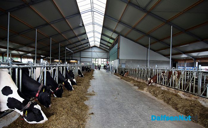 Duurzame doorstart voor melkveebedrijf dankzij verbreding Hessenweg - Foto: Johan Bokma