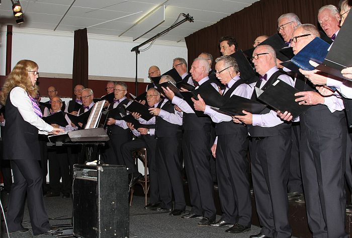 “De Brincksanghers” Havelte treden op in Dalfsen - Foto: Eigen geleverde foto