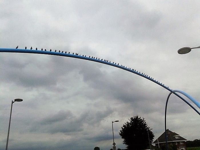 Veel belangstelling Blauwe Bogen dag - Foto: Eigen geleverde foto