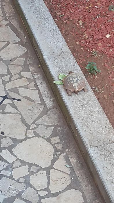 Dalfsenaren op vakantie in: Kroatië - Foto: Eigen geleverde foto