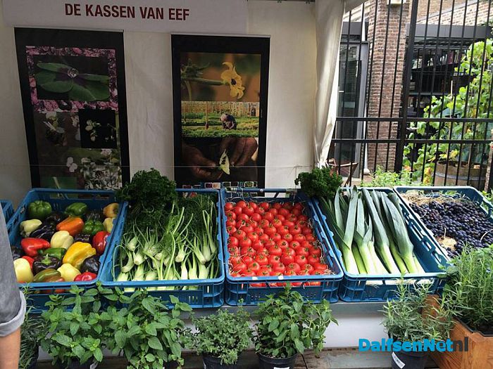 Kwekerij Eef Stel weer terug zoals het was - Foto: Ingezonden foto