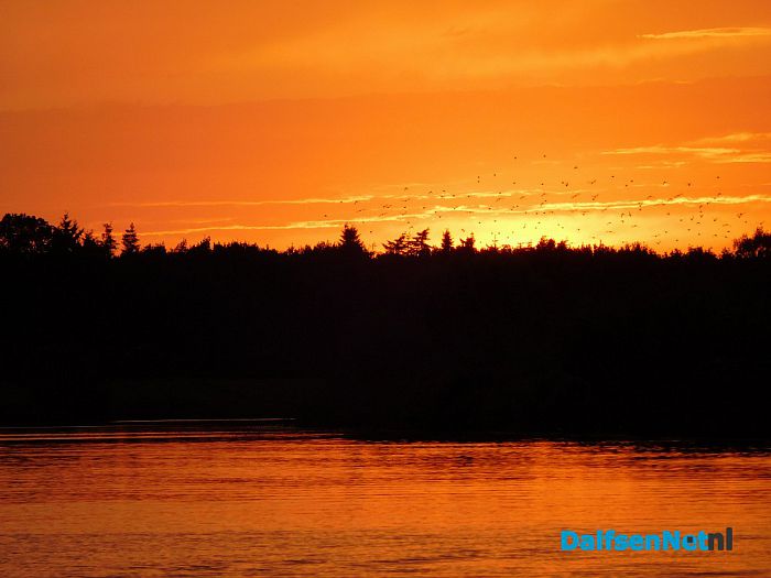 Impressie van een prachtige zomeravond - Foto: Ingezonden foto