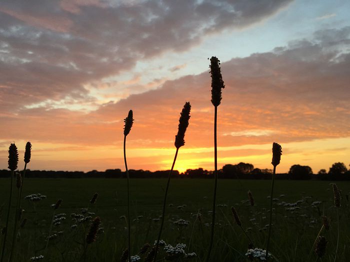 Ingezonden prachtige foto - Foto: Eigen geleverde foto
