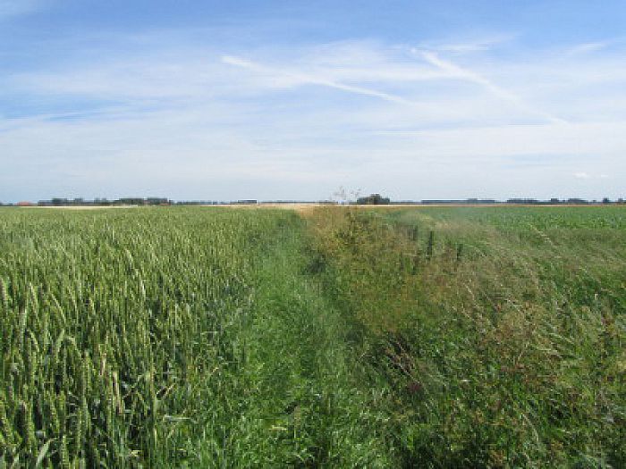 Reactie gemeente over mooi wandelpad - Foto: Ingezonden foto