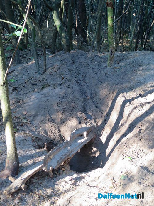 De natuur laat weer mooie dingen zien - Foto: Wim