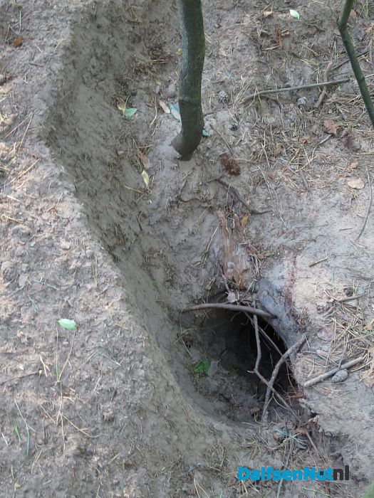 De natuur laat weer mooie dingen zien - Foto: Wim