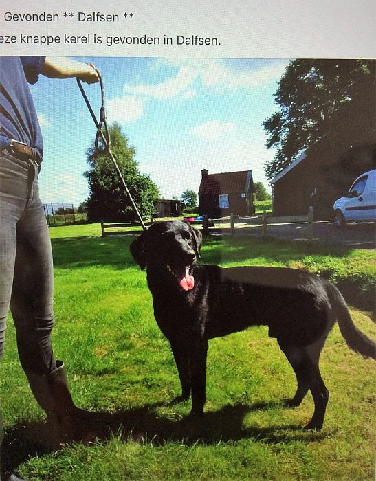 Reu gevonden - Foto: Ingezonden foto