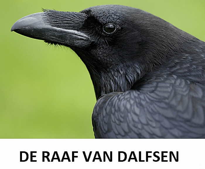 (Tamme) raaf van Dalfsen (update)