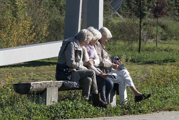 Vrienden van Dalfsen naar Anningahof - Foto: Geert Bistervels