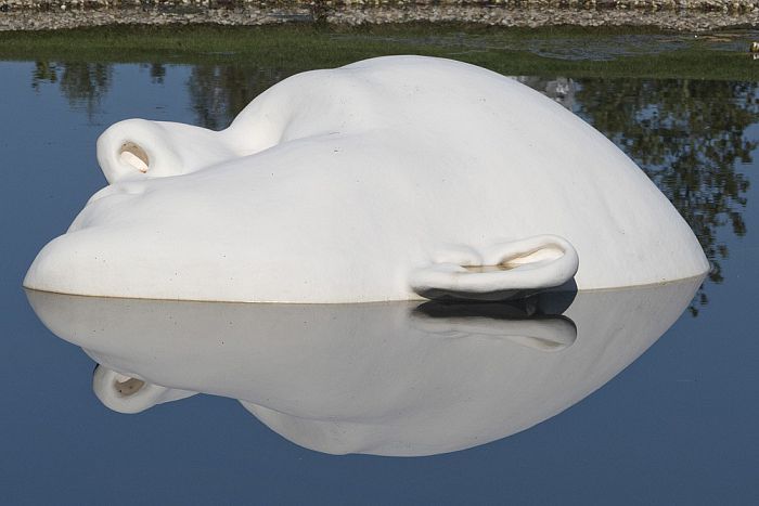 Vrienden van Dalfsen naar Anningahof - Foto: Geert Bistervels