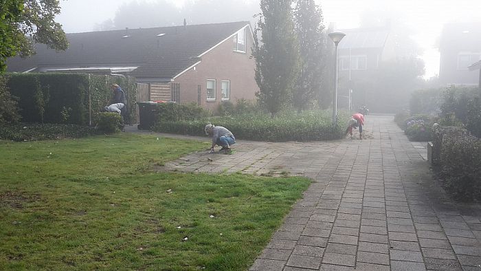Burendag - Foto: Eigen geleverde foto