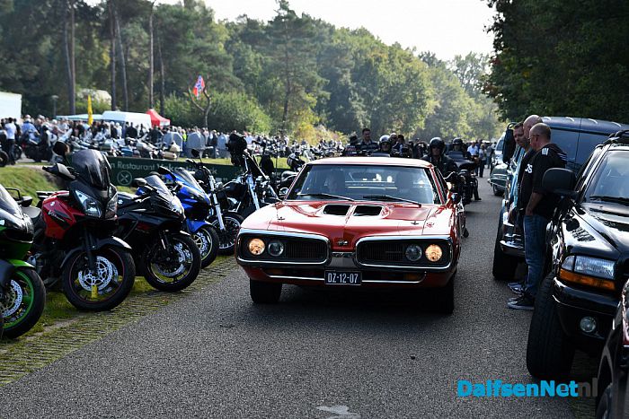 Amerikaanse dag Calluna was groot, groter, grootst - Foto: Johan Bokma