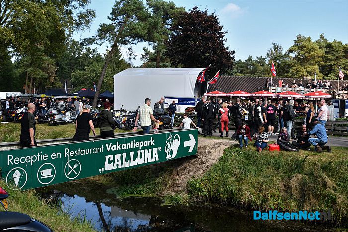 Amerikaanse dag Calluna was groot, groter, grootst - Foto: Johan Bokma