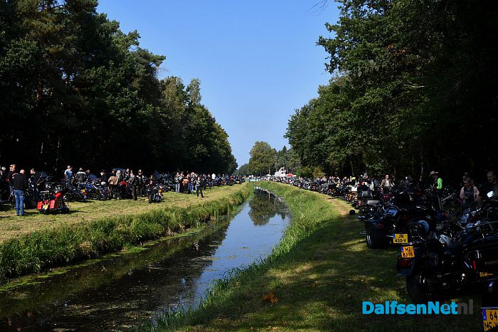 Amerikaanse dag Calluna was groot, groter, grootst - Foto: Johan Bokma