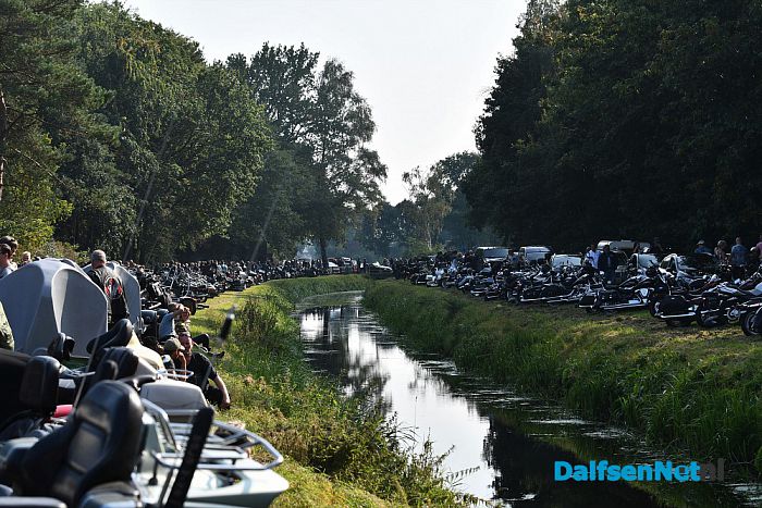 Amerikaanse dag Calluna was groot, groter, grootst - Foto: Johan Bokma