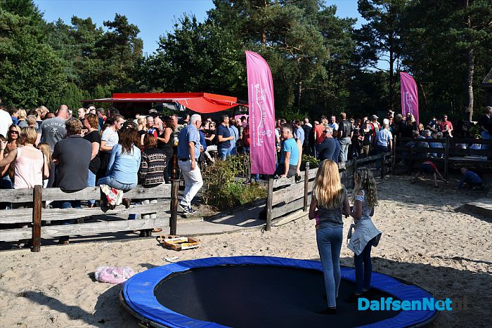 Amerikaanse dag Calluna was groot, groter, grootst - Foto: Johan Bokma