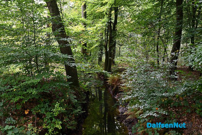 Herfst - Foto: Johan Bokma