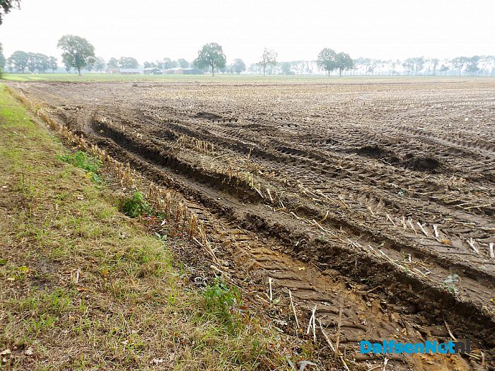 Maisoogst in volle gang ook rond Dalfsen