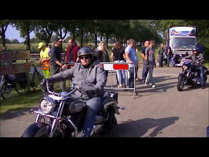 Amerikaanse dag Calluna (video)