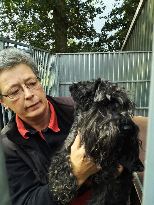 Loslopende hond die van de N35 is weer thuis - Foto: Eigen geleverde foto