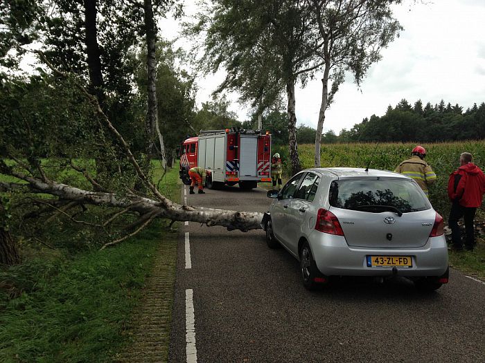 Auto met inzittenden onder vallende boom - Foto: Ingezonden foto