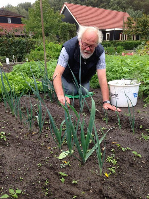 Natuurboerderij oogst ook “vergeten groente” - Foto: Eigen geleverde foto