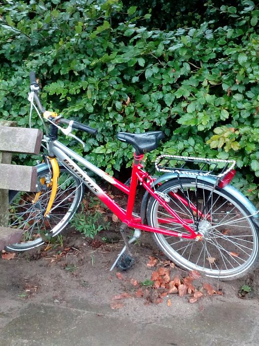 Wie is zijn fiets kwijt - Foto: Eigen geleverde foto