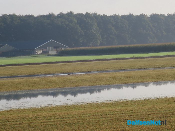 Water en nog eens water - Foto: Wim