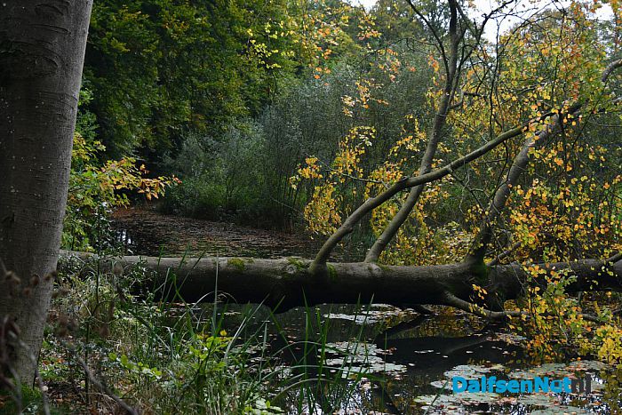 Op Landgoed De Horte is het nu genieten van de herfst - Foto: Johan Bokma