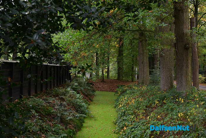 Op Landgoed De Horte is het nu genieten van de herfst - Foto: Johan Bokma