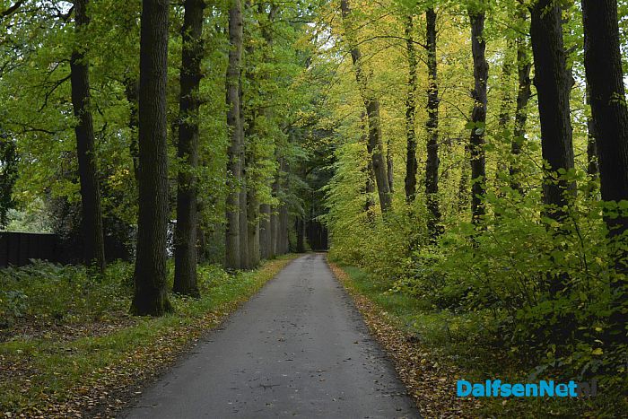 Op Landgoed De Horte is het nu genieten van de herfst - Foto: Johan Bokma