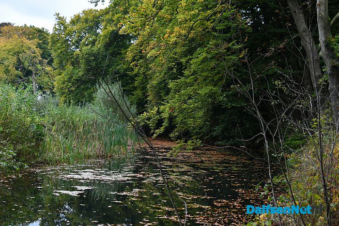 Op Landgoed De Horte is het nu genieten van de herfst - Foto: Johan Bokma