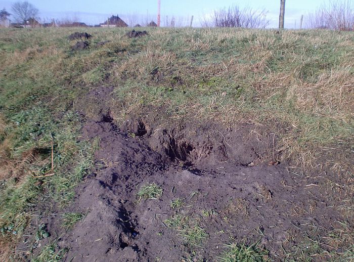 Inspectie 1000 kilometer dijken en kades - Foto: Eigen geleverde foto