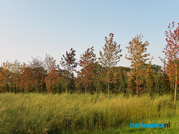 Nazomeren en herfst te gelijk