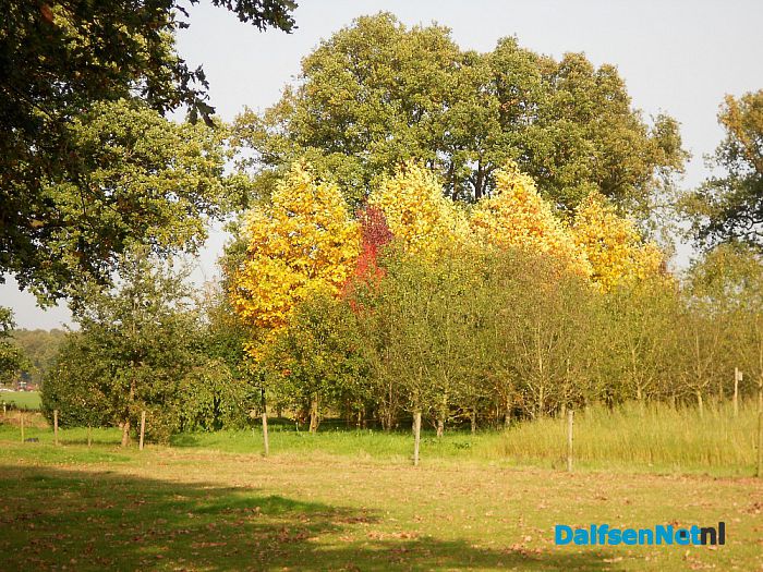 Nazomeren en herfst te gelijk