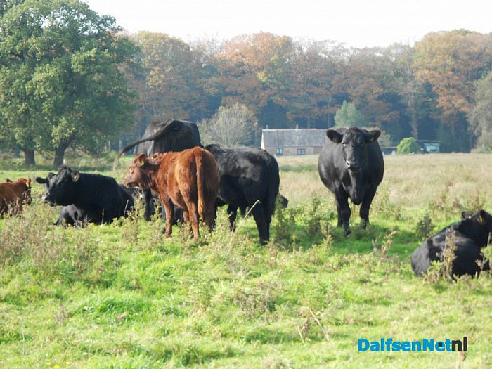 Nazomeren en herfst te gelijk