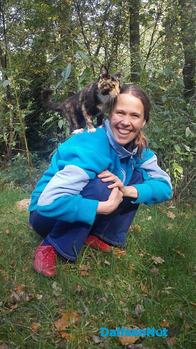 Jonge poes gevonden - Foto: Ingezonden foto