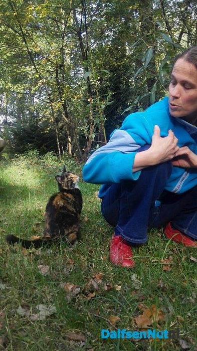 Jonge poes gevonden - Foto: Ingezonden foto